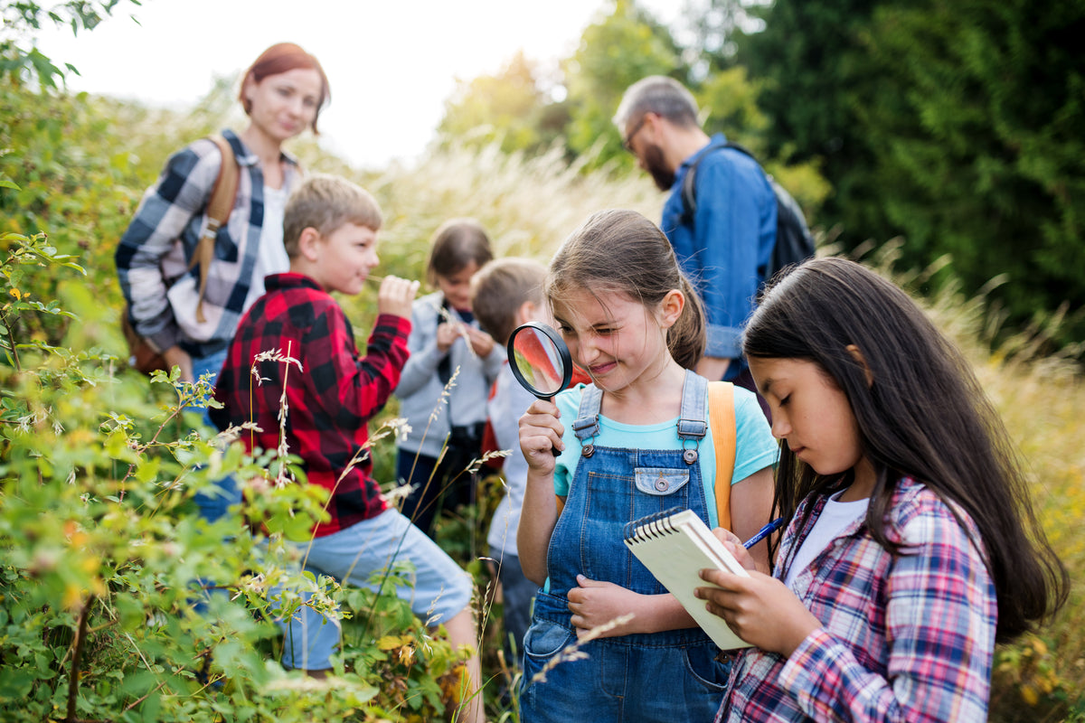 3 Tips For Making Your Children Love the Outdoors