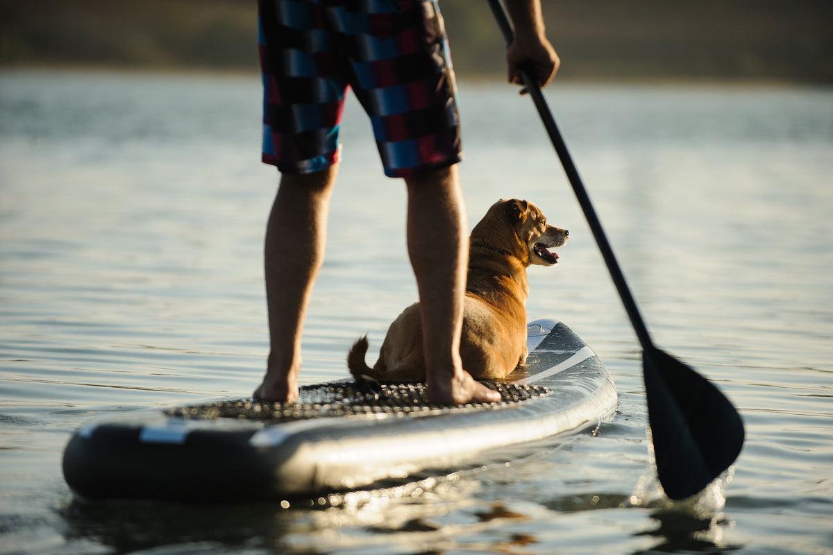 Float Pads And Paddleboards